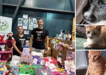 Noraneko, la “casa de los animales” de Ribera de Arriba