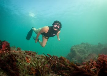 La oscarizada Pippa Ehrlich prueba las aguas de Gijón: «La temperatura es como la de Ciudad del Cabo en verano»
