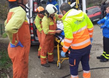 Trasladado al hospital un hombre tras caer de un árbol a una altura de 5 metros en Cangas del Narcea