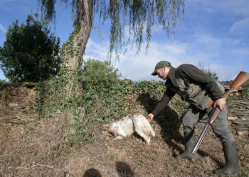 Asturias suma 21 víctimas en accidentes de caza en el periodo 2007-2020