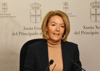 Mallada (PP) insta a los diputados asturianos del PSOE en el Congreso a votar contra la derogación del delito de sedición