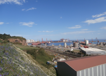 La Coordinadora Ecologista se opone a la apertura de una planta de pirólisis para tratar plásticos en El Musel