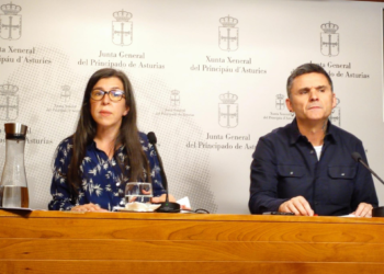 Podemos pide «orientar las cuentas a la izquierda» y ve «bastante insuficiente» el anuncio de Barbón