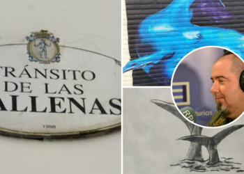 Una ballena en Nochebuena