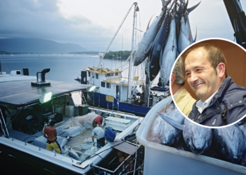 Ponga un pescado en su mesa