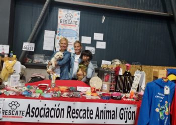 Asociación Rescate Animal Gijón: «Echamos en falta un compromiso mayor por parte del Ayuntamiento»