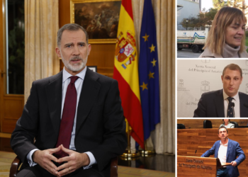 IU Asturias: «Felipe VI es un rey parcial y tan Borbón como su padre»