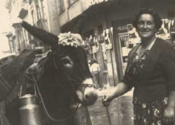 Lecheras urbanas en Gijón