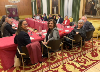 El Consejo Social Municipal exigirá al Ministerio la licitación del vial de Jove antes de las elecciones de mayo