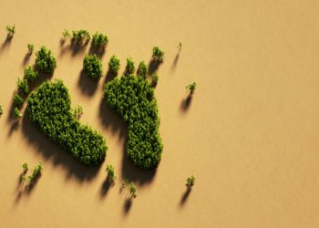 Asturias destina 100.000 euros a financiar el cálculo de la huella de carbono