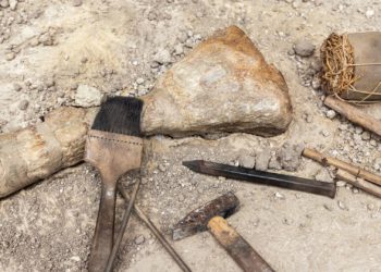 Cultura destina 70.000 euros a apoyar proyectos arqueológicos en Asturias