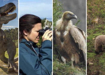 4 experiencias únicas que regalar en Asturias