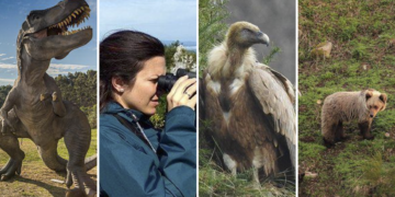 4 experiencias únicas que regalar en Asturias