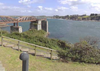 Muere el delfín que había sido rescatado y liberado en Ribadeo
