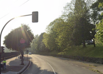 A juicio un hombre por maltratar a un perro en Avilés