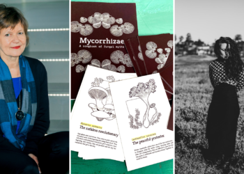 La semana de LABoral Centro de Arte