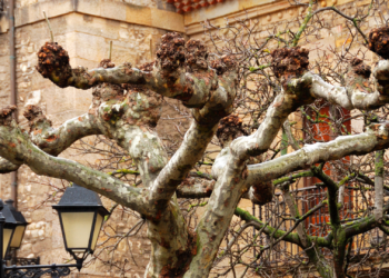 El Tiempo de Javimo | Finde en seco con frío