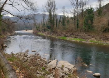 El río Narcea se encuentra en situación de alerta en su desembocadura al Nalón