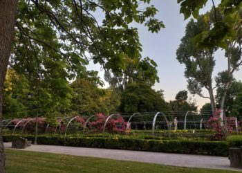 Ciudadanos critica el estado «lamentable» de parques y jardines de Gijón