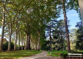 Foro achaca al Gobierno local el descenso «continuado» de visitantes en un Jardín Botánico