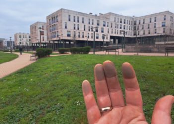 La ciencia lo confirma: «Hay una relación directa entre enfermedades y la contaminación en Asturias»