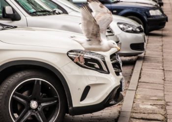 Comienza la campaña de cobro del Impuesto sobre Vehículos de Tracción Mecánica 2023 en Asturias