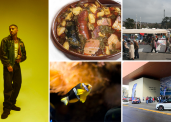 Planes | Enol, Ópera, Rastro, Acuario, Salón de Competición… este finde ¡no se para!