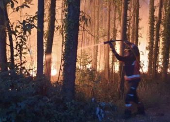 Piden prisión para un hombre por provocar dos incendios forestales en Llanes en 2020