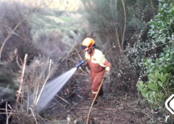 Ascienden a once los fuegos detectados en Asturias, que afectan a diez concejos