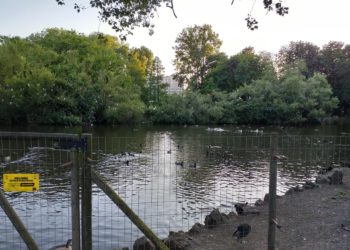 «Los fangos pueden ser tóxicos»: Ciudadanos llama la atención sobre los lodos extraídos de las lagunas de Isabel la Católica