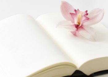 Convocado el premio Alarcos de poesía 2023