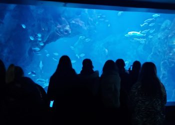 Aprendiendo bajo el mar en la Escuela de Segunda Oportunidad