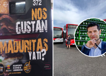 Vacas, cerdos y brujas