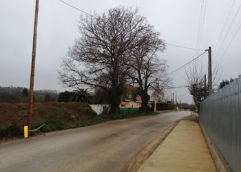 «La Resistencia» de Cabueñes son los robles