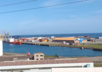 Rouco (Vox) pide la retirada del proyecto de instalación de una planta de pirólisis en El Musel