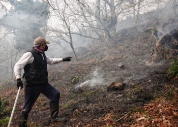 Asturias arde: más de 100 incendios forestales atacan la región