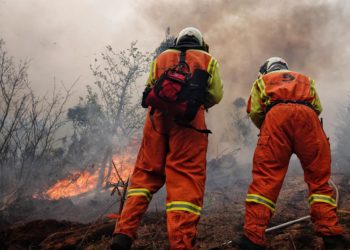 Alejandro Calvo: «Es una oleada de incendios provocados que no tiene precedentes»