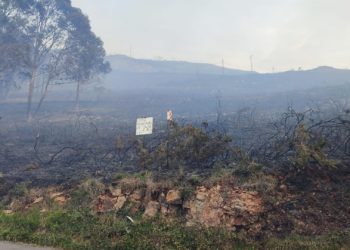 Las cámaras de videovigilancia permiten abrir una investigación sobre los focos del Naranco