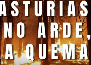 Concentración contra los «incendios provocados» este lunes frente a Presidencia