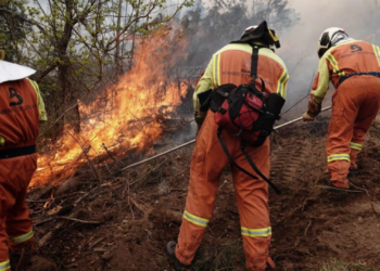 Cinco identificados como presuntos responsables de los incendios en Asturias