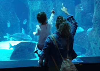 El Acuario bate récord de visitantes en Semana Santa