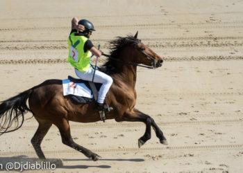 Ribadesella vibra con la emoción de las carreras de caballos en la playa