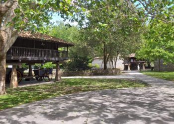 Vicente Díaz, pregonero de la XIII Primer Sidre l’Añu