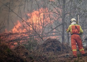Ecologistas: «Tras la mayoría de los incendios de los pasados días se encuentra la generación de pastos»