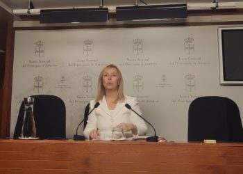 Vox critica el «electoralismo» tras la proliferación de obras de última hora en Gijón