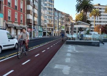 El picudo rojo, una de las preocupaciones de Foro