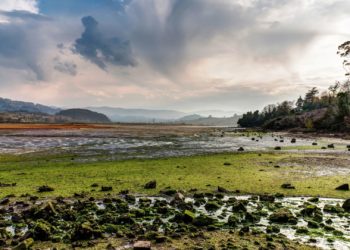 Los  mariscadores de almeja de Villaviciosa tendrán 15.461 euros de ayudas