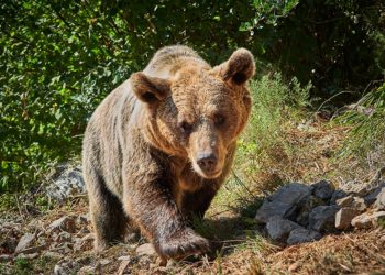 8 ideas asturianas para el Día de la Madre más original