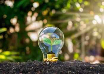 «Going Green»: la iniciativa de Los Fresnos para reducir la huella de carbono digital