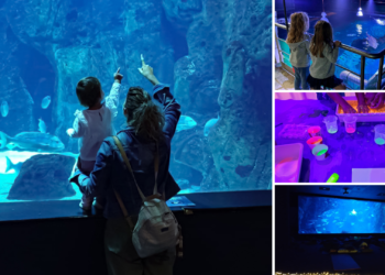 BIOPARC Acuario de Gijón prepara un verano lleno de actividades, sorpresas y diversión